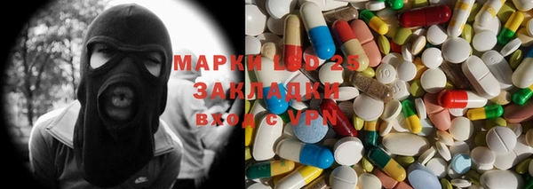стаф Алексин